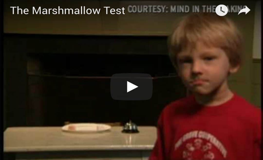 The Marshmallow Test Children's Institute