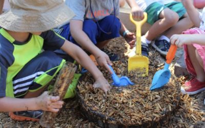 A Preschool Watering Hole, Evaporated