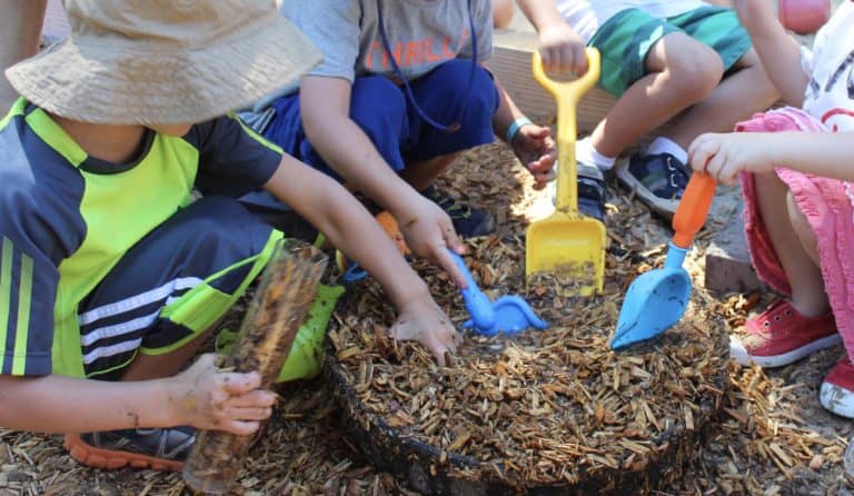 Children dig in a pit of bark chips