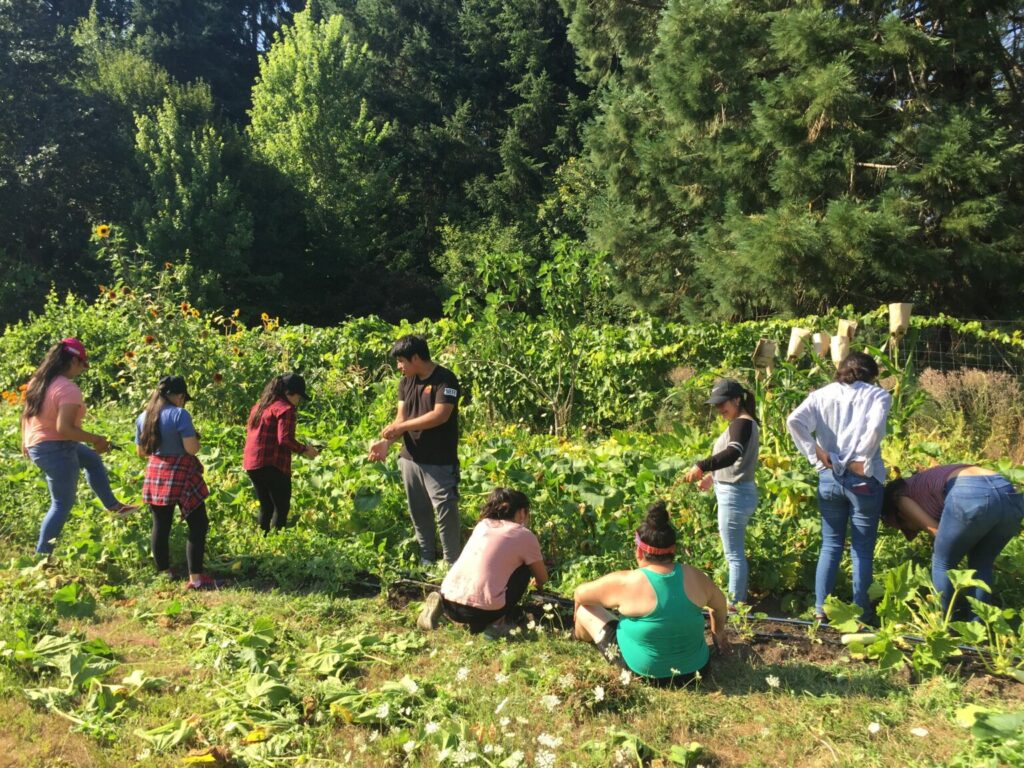 A group of young people gather together in a vineyard on a sunny day.